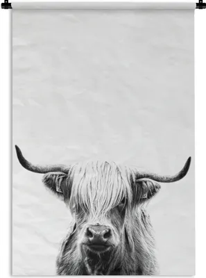 Produktbild von MuchoWow® Wandteppich Wandbehang Schottisches Hochlandrind auf weißem Hintergrund - schwarz und weiß 60x90 cm Tapisserie Dekoration Wandtuch - Foto-Teppich - Abwaschbar