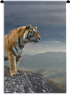 Produktbild von MuchoWow® Wandteppich Wandbehang Tiger - Berg - Natur - Landschaft 120x180 cm Tapisserie Dekoration Wandtuch - Schlafzimmer - Dekorationen für das Haus