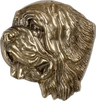Productafbeelding van Art-Dog Wandreliëf – Sint-bernard – gegoten uit bronspoeder en hars