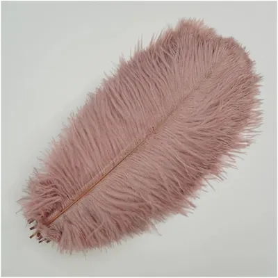 Productafbeelding van Natuurlijke Struisvogelveren 15-20 cm voor Bruiloft en Feestdecoratie - Diverse Kleuren en Mengen