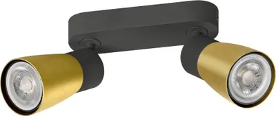 A product shot of a black and gold ceiling light with two adjustable spotlights.