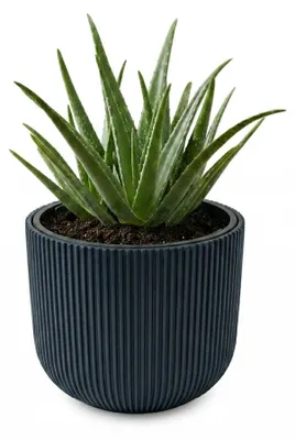 Image de Prosperplast s.r.o. Pot de fleurs avec insert MILLY anthracite 34,9 cm