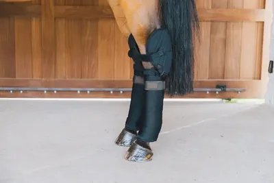 Produktbild von Kentucky Horsewear Transport- und Stallbandagenunterlagen mit Sprunggelenkschutz