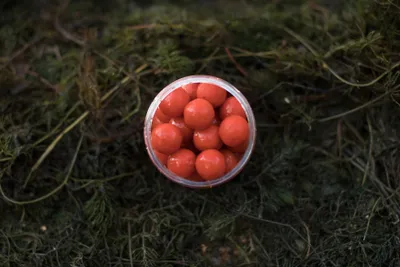 Produktbild von LK Baits Boilie v dipu Fresh Boilie Restart Compot N.H.D.C. 250ml 47030426