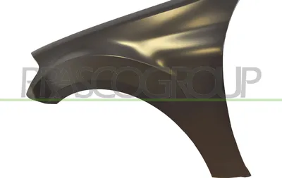 Produktbild von PRASCO ME8243004 Kotflügel Vorne Links passend für MERCEDES-BENZ M-Klasse (W164)