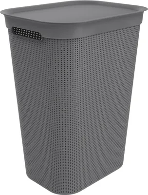 Produktbild von Rotho Wäschesammler 50 L Brisen - Wäschekorb 43,1 x 34 x 52,9 cm - Wäschebox mit Deckel und Griffen - Wäschetruhe groß - Wäschetonne aus Kunststoff