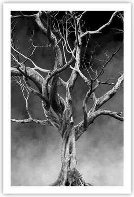 Produktbild von Poster - Poster ohne Rahmen - Schwarzweiß Äste Rauch - 61x91,5 cm - Wand Bild - Wanddeko - Wandbilder - Kunstposter - Wandposter - Bilder - Kunstdruck - Wanddekoration - Wandbild - P2XPA61x91-4346