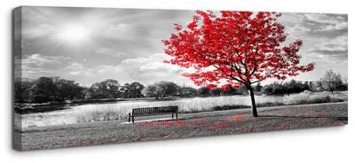 Obrázok produktu pre Obraz na plátne Červený strom 120x40 cm zarámovaný