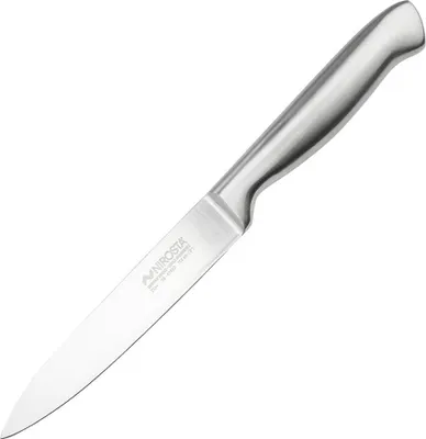 Immagine prodotto di Coltello multiuso NIROSTA STAR, coltello da cucina affilato, acciaio inox giapponese, manico pratico, robusto coltello multiuso, affilato a mano, lama resistente (lunghezza della lama: circa 12 cm)