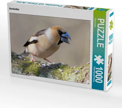 Produktbild von CALVENDO Puzzle Kernbeißer | 1000 Teile Lege-Größe 64x48cm Foto-Puzzle für glückliche Stunden