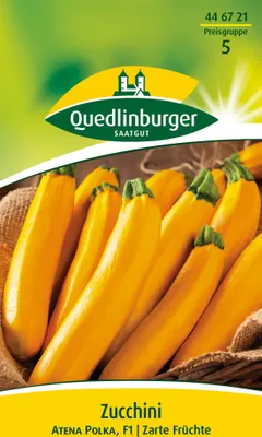 Produktbild von Quedlinburger Saatgut - Zucchini gelb Atena Polka - Samen - 446721