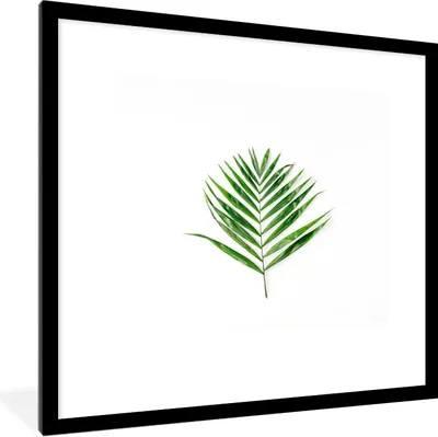 Produktbild von MuchoWow® Gerahmtes Poster Tropisch - Blatt - Grün 40x40 cm - Poster mit Schwarzem Bilderrahmen Wandposter Rahmen Foto Bilder - Poster - Plakat im Rahmen