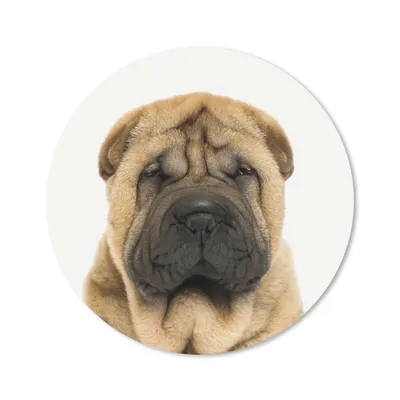 Produktbild von MuchoWow® Mauspad Mousepad Hund - Jungen - Sharpei - Haustiere - Mädchen - Kinder 40x40 cm - Mousepads - Maus Mat - Pad - Mausunterlage - Schreibtisch Accessoires