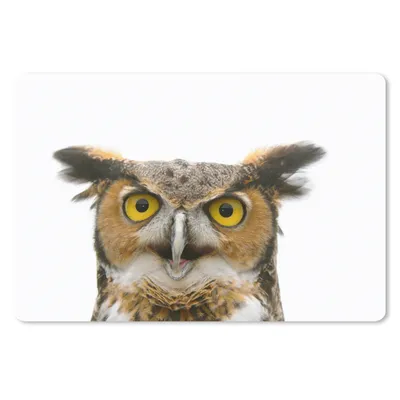 Produktbild von MuchoWow® Mauspad Mousepad Eule - Vogel - Porträt 27x18 cm - Mousepads - Maus Mat - Pad - Mausunterlage - Büroartikel - Desk Matten