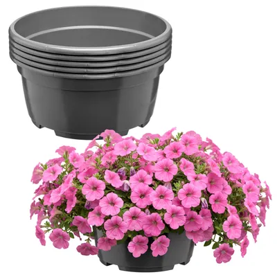 Image de Ensemble de 5 pots ronds en plastique avec drainage (couleur anthracite, diamètre 21 cm, hauteur 10,5 cm, capacité 3 litres) – Référence : GD-KW-B-Anthracite