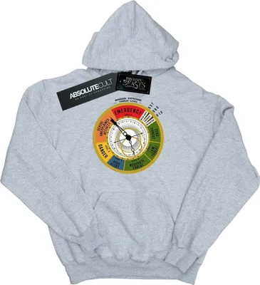 Produktbild von Fantastic Beasts - "Threat Level" Kapuzenpullover für Jungen BI6342 (128) (Grau)