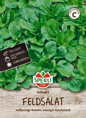 Produktbild von SPERLI Feldsalatsamen Volhart 3 Valerianella locusta 2-3 lfd. Meter