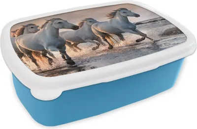 Produktbild von KitchenYeah® Lunchbox Brotzeit Brotdose 17x11 cm Pferde - Wasser - Meer - Frankreich Kinder Brotzeitdose - Lunch - Kunststoff  - Brotbüchse - Sandwichbox - Lunchbox für Kinder
