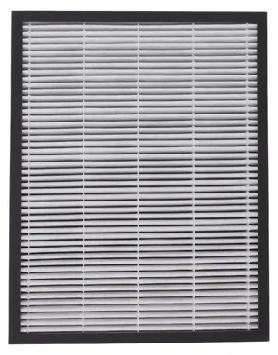 Image de Filtre pour purificateur d'air : élimination de la poussière, des odeurs, du pollen et des particules - pour Midea KJ200G D41