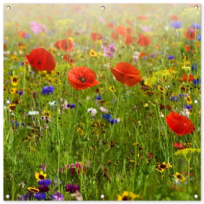 Immagine prodotto di Poster per giardino, 100x100 cm, tema: primavera, fiori, colore: rosso