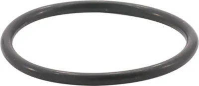 Immagine prodotto di LAPP O-ring per raccordo PG16 O-ring PG16 gomma nitrilica butadiene (NBR) colore nero - 1 pezzo