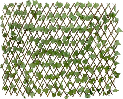 Produktbild von 3.09 Pflanzen Kletterhilfe WEIDE mit EFEU - ca. 140 x 110 cm - ausziehbar Rankhilfe / Sichtschutz in braun