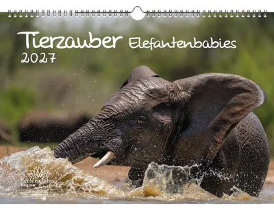 Produktbild von Tierzauber Elefantenbabies DIN A3 Kalender für 2027 Elefanten - Seelenzauber
