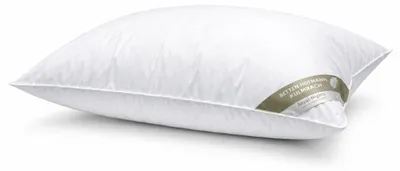 Produktbild von SCHWEIZ Kissen Kopfkissen Daunenkissen 65x100 cm 100 % Daunen flauschig weich 850 g medium