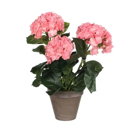 Produktbild von Mica Decorations Hortensien Kunstpflanze im Blumentopf Stan - H40 x Ø35 cm - Rosa