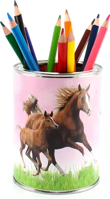 Immagine prodotto di Portamatite cavalli rosa incl. 12 matite colorate triangolari portamatite per bambini portamatite da tavolo organizzatore ragazze