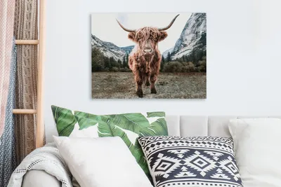 Obrázek produktu pro OneMillionCanvasses® - Plátno - Skotský horal - Hora - Zvířata, nástěnná malba, nástěnné dekorace obrázky do obývacího pokoje, 40x30cm