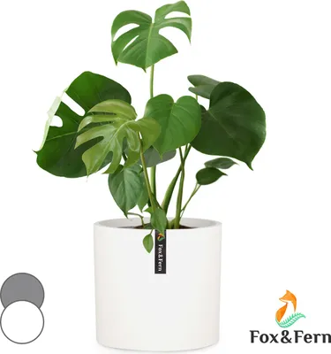 Image de Fox & Fern Pot de Fleur Interieur, Pot pour Plantes en Polystone, Cache Pot Plante Interieur et Extérieur Résistant UV et Gel, Pot Fleur Exterieur Grande Taille, Jardinieres Exterieur Bouchon Drainage