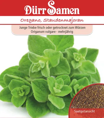 Produktbild von Oregano Staudenmajoran | Oreganosamen von Dürr Samen