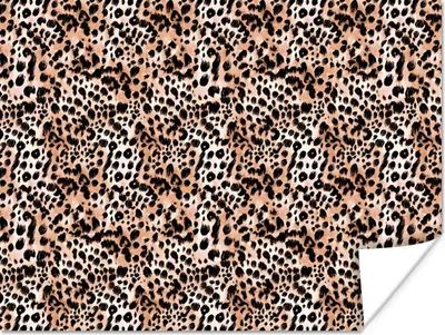 Produktbild von MuchoWow® Poster Tierdruck - Tiger - Tiere 120x90 cm - Wandbild
