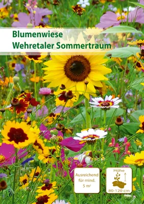 Produktbild von Wehretaler Sommertraum 5 m² | Blumenmischung von Küpper