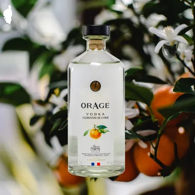 Produktbild von Ferroni – Vodka Orage Clémentine de Corse IGP – 42° - 70cL