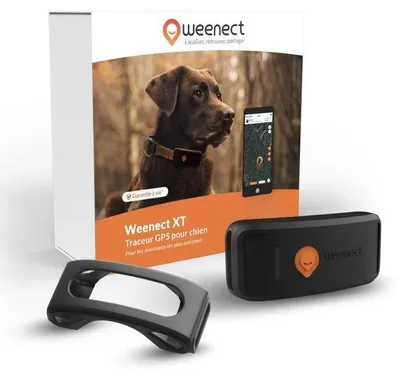 Image de Traceur GPS pour Chien WEENECT Chien XT, Antenne XL, Étanche, Sans Collier, Fonctionne avec Abonnement