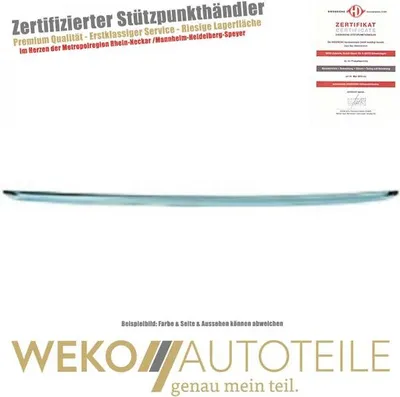 Zdjęcie produktu dla Listwa chromowana CLIO  4416059 Diederichs