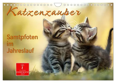 Produktbild von Katzenzauber - Samtpfoten im Jahreslauf (Wandkalender 2027 DIN A4 quer), CALVENDO Monatskalender