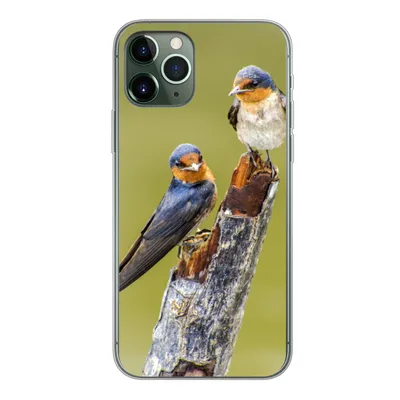 Produktbild von MuchoWow® Handyhülle Schutzhülle Hülle für iPhone 11 Pro Vögel - Zweig - Porträt Silikon Softcase Handy Hülle - Handy