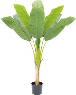 Produktbild von Künstliche Bananenpalme im Topf, naturgetreu, 120 cm, Dekoration