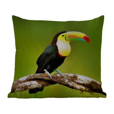 Obrázek produktu pro MuchoWow® Vnější polštář - Pták - tukan - duha - zelená - větev -40x40 cm- Odolnost proti povětrnostním vlivům - polštář do obývacího pokoje