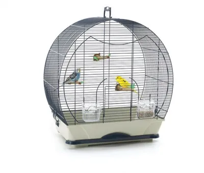 Image de Maison des oiseaux "Evelyne 40