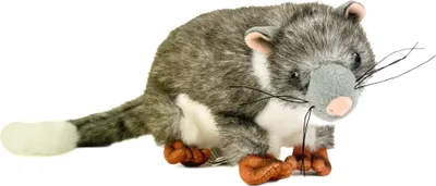 Produktbild von Kuscheltier Opossum grau/weiß 23 cm Plüschopossum