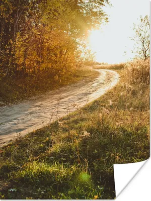 Produktbild von MuchoWow® Poster Weg - Natur - Baum 30x40 cm - Wandplakat - Poster Kinderzimmer