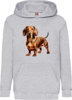 Obrázok produktu pre Detská Mikina S Kapucňou Dogs Breeds Dachshund Dog Breed 007, 7-8 Jahr - 128 / Heather šedá
