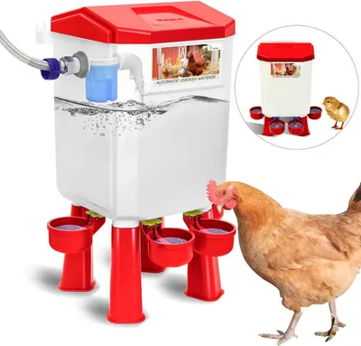 Image de Abreuvoir automatique pour volailles, 11 litres, avec flotteur – eau propre pour les poulets, les canards et les oies
