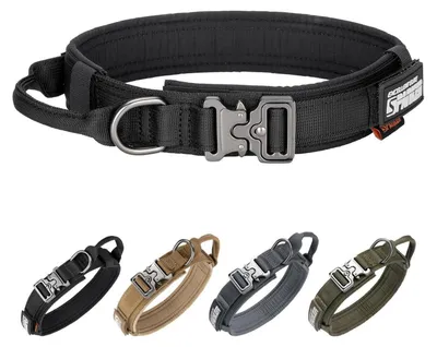 Produktbild von Taktisches Hundehalsband mit Metallschnalle Schwarz L (17-21 Zoll)