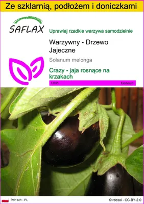 Zdjęcie produktu dla SAFLAX - Zestaw do uprawy - Warzywny - Drzewo Jajeczne - 20 Nasiona - Z mini szklarnią, podłożem uprawowym i 2 doniczkami - Solanum melonga