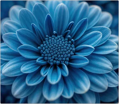 Produktbild von Spritzschutz Herdabdeckplatte Schneidebrett aus Glas Blaue Blume 1-Teilig (60x52cm)